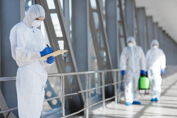 Trusted Home Gardens, CA Mold Removal Experts