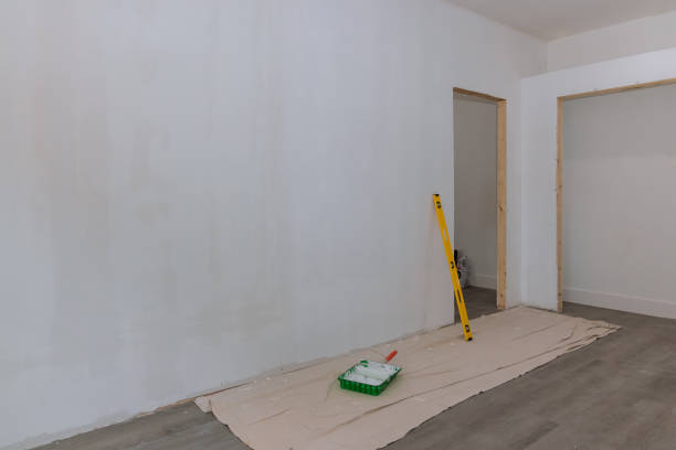 Best Real Estate Mold Inspection  in Home Gardens, CA